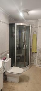 a bathroom with a toilet and a shower in it at apart paz in Torrevieja