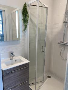 uma casa de banho com um lavatório e um chuveiro em Marianne 1 em Bergerac
