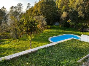 a small swimming pool in a yard with a tree at Casa das Lameirinhas by LovelyStay in Cinfães