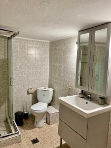 een badkamer met een toilet, een wastafel en een douche bij Neakitos Summer House in Nikiti