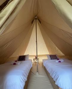 a couple of beds in a canvas tent at Tangkahan Eco Glamping 
