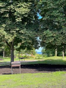 ławka siedząca w parku pod drzewem w obiekcie ZUŠU KLĒTS w mieście Bērzciems