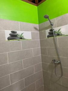 La salle de bains est pourvue d'une douche avec trois plantes. dans l'établissement Ti Kay Paradise, à Sainte-Anne