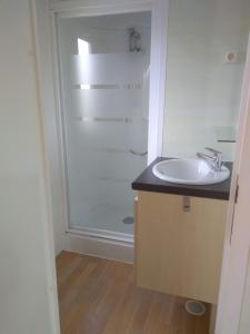 a bathroom with a sink and a shower at Mobilhome Plouguerneau in Plouguerneau