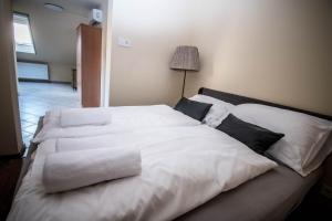 Afbeelding uit fotogalerij van City Panzió in Szarvas +22 foto's