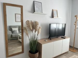 sala de estar con espejo y TV en Apartamento ciudad jardín, en Córdoba