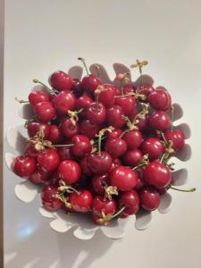 Une bande de cerises rouges dans un bol blanc dans l'établissement Apartamentos La Chaparrina del Jerte, à El Torno