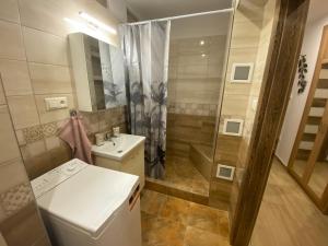 巴爾代約夫的住宿－Diana Apartments，带淋浴和盥洗盆的小浴室