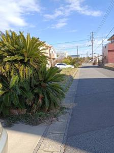 a street with palm trees on the side of a road at KAI Ichinomiya in Ichinomiya