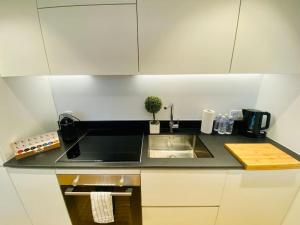 eine Küchentheke mit Spüle und eine Pflanze darauf in der Unterkunft Luxury Brand New Flat with Terrace & Parking - RTL1 in Luxemburg (Stadt)
