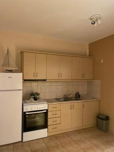 a kitchen with wooden cabinets and a white refrigerator at Seavota Comfort Apartment in Sivota