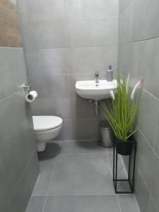 Łazienka w obiekcie GLIWICKA 16