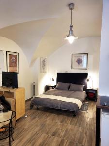 1 dormitorio con 1 cama y TV. en Studio Ian, en Liubliana