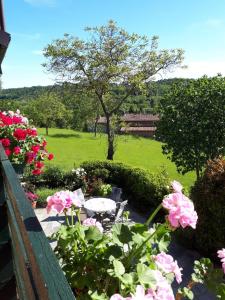 un jardín con flores rosas y un campo de hierba en Casa Joop, en Magnano