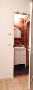 een badkamer met een wastafel en een spiegel bij Lossikamber Kalamajas in Tallinn