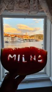 una persona sosteniendo un objeto rojo frente a una ventana en Holiday home Gariful en Milna