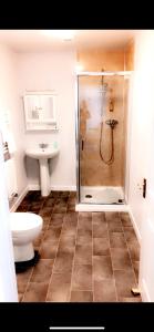 a bathroom with a shower and a toilet and a sink at Carnegie Lodge Hotel in Tain