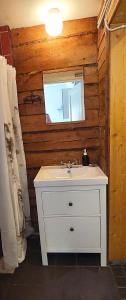 een badkamer met een witte wastafel en een spiegel bij Lossikamber Kalamajas in Tallinn