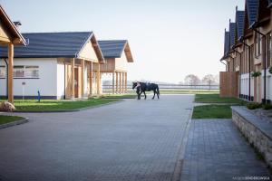 Zwierzęta w apartamencie lub w pobliżu
