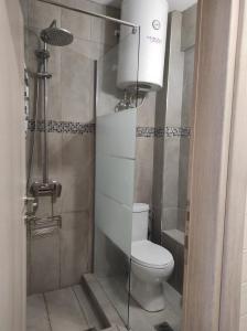 a small bathroom with a toilet and a shower at Nikos house studios in Ofrínion
