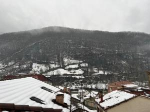 una ciudad cubierta de nieve con una montaña en el fondo en Apartamentos Turísticos Cuirgu en Felechosa