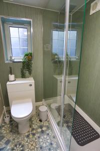 un bagno con wc e doccia in vetro di Stylish Coastal Cottage with Hot Tub and Garden Sleeps 8 a Skelton Altre 25 foto