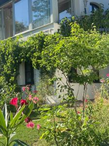 um jardim em frente a um edifício com flores cor-de-rosa em Sonnenloft Else und Studio Luise em Neubeuern