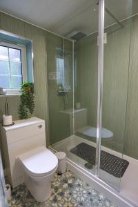 un bagno con wc e doccia in vetro di Stylish Coastal Cottage with Hot Tub and Garden Sleeps 8 a Skelton