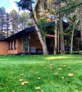 a house in a yard with leaves in the grass at Siedlisko Dziki Gil na Mazurach z prywatną plażą i SPA! in Ruś