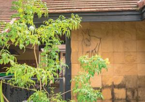 Fotografie z fotogalerie ubytování Khaoyai Valley 4 บ้านพักเขาใหญ่วัลเล่ย์4 v destinaci Mu Si