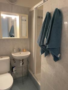 Koupelna v ubytování Small appartement