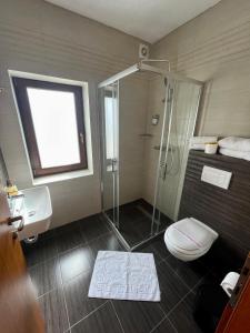 a bathroom with a shower and a toilet and a sink at Villa Montana Borsec in Borsec