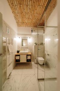 een badkamer met een wastafel, een douche en een toilet bij Operna klet Ljubljana in Ljubljana