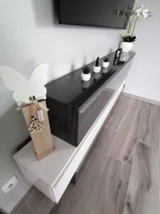 TV a/nebo společenská místnost v ubytování Ferienhaus Devilina mit Sauna am Harkebrügger See