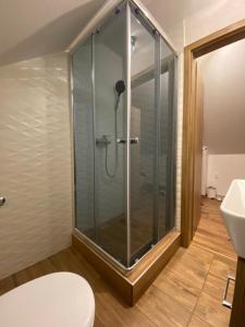 uma casa de banho com um chuveiro, um WC e um lavatório. em Apartman 7- Vila Stefanik em Trenčianska Teplá