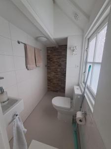a white bathroom with a toilet and a sink at Edam, Garden Room with private entrance and rural view in Edam