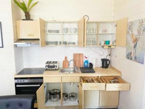 a small kitchen with wooden cabinets and a sink at Spacious 4 room apartment in Hanau in Hanau am Main