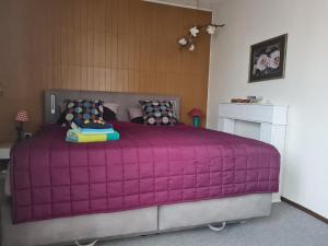 een slaapkamer met een groot paars bed in een kamer bij Schöne Ferienwohnung mit Balkon und Terrasse in ruhiger Lage in Helsa