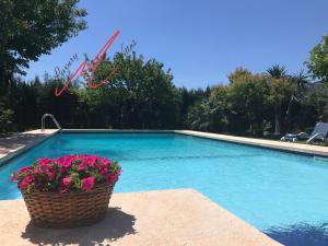 Fotografie z fotogalerie ubytování VILLA TEXAS 12 X 5 METRE POOL, STUNNING GARDEN AND VIEWS v destinaci Pollença