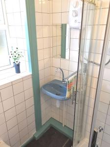 a bathroom with a shower with a blue sink at Traditional Countryside Farmhouse in Reenconnell