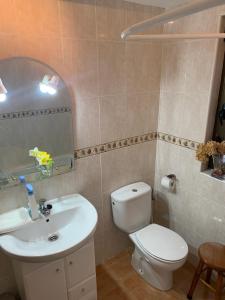 La salle de bains est pourvue de toilettes blanches et d'un lavabo. dans l'établissement Casa Rural Fuentecillas, à Becedas