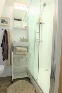 W łazience znajduje się prysznic i umywalka. w obiekcie CASA MONTE w mieście Lič