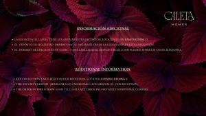 a bunch of red flowers on a black background at Caleta Homes - Apartamentos Pompidou in M&aacute;laga