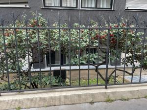 une clôture avec un arbre devant un bâtiment dans l'établissement Paris 16 Victor Hugo superbe studio, à Paris