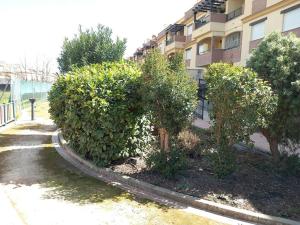a row of bushes in front of a building at El nido del nómada in Atarfe