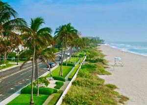 a road next to the beach with palm trees at Lux place and cozy 3Beds 2Rooms enjoy life in WPB Gym, EV Station Nearby the downtown and beaches in West Palm Beach