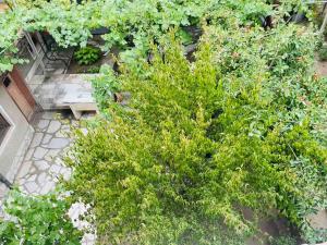 una vista aérea de un jardín con un banco y plantas en The Park Place, en Velingrad