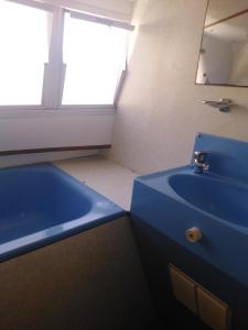 a bathroom with a blue sink and a mirror at BATEAU - Jolie pénichette sur région touristique. in Bellegarde