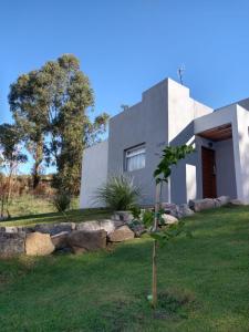 a small tree in front of a house at Los nogales in Tandil
