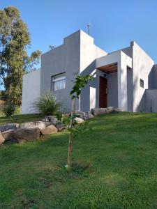 a small tree in front of a house at Los nogales in Tandil